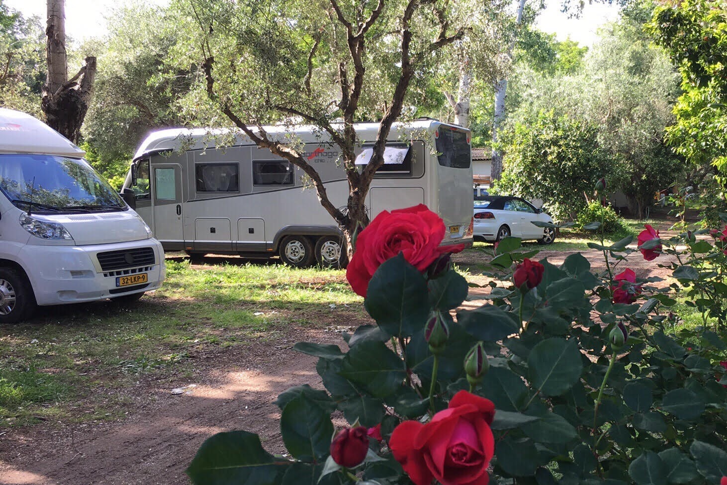 Camping Káto Alissós  -  Stellplatz vom Campingplatz zwischen Bäumen