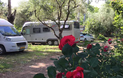 Camping Káto Alissós