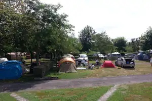 Campingplatz mit mehreren Zelten, parkenden Autos und Wohnwagen, umgeben von Bäumen auf einer Rasenfläche.