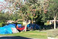 Camping L' Amuravela - Zelte auf dem Stellplatz im Schatten der Bäume