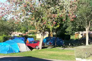 Campingplatz mit mehreren Zelten, Autos und Fahrrädern auf einem Stellplatz im Schatten von Bäumen.