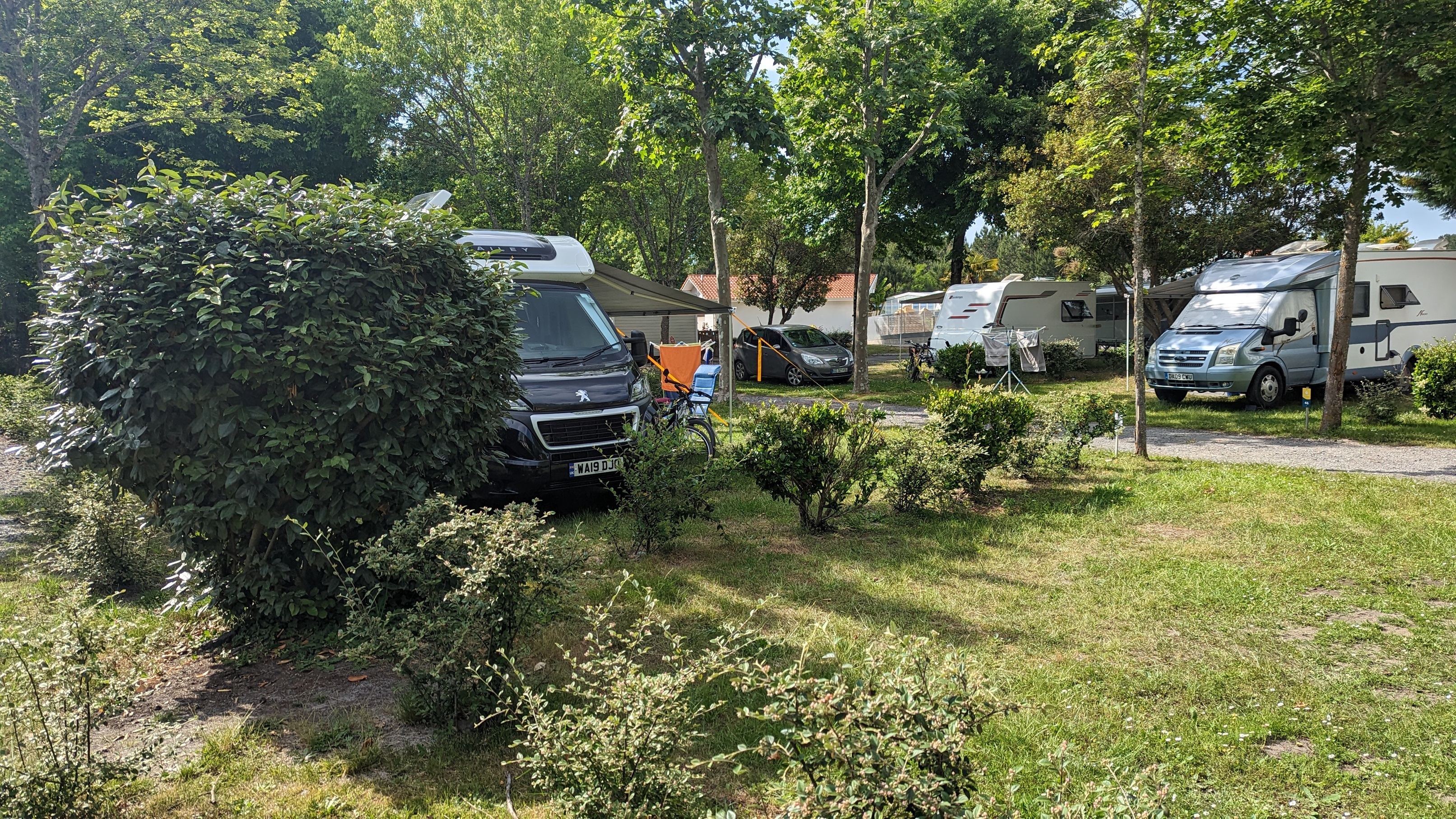 Camping L' Arbre d'Or