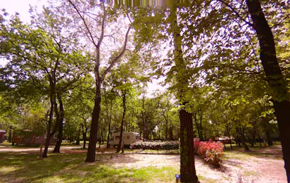 Camping L' Art de Vivre