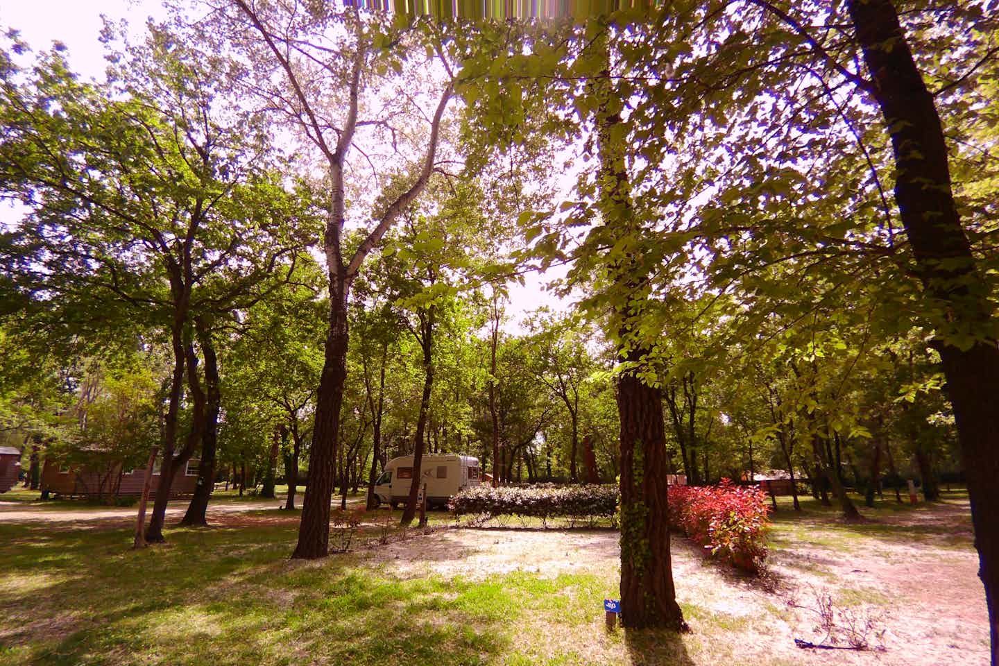 Camping L' Art de Vivre