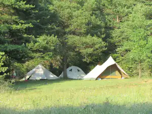 Mehrere Zelte auf einer grünen Wiese im Campingbereich, umgeben von Bäumen und dichtem Buschwerk.