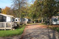 Camping L' Eau Rouge - Mobilheime und Wohnwagen auf dem Campingplatz im Grünen
