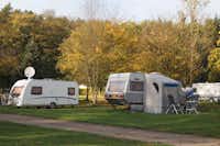 Camping L' Eau Rouge - Stellplatz für Wohnwagen zwischen Bäumen auf dem Campingplatz