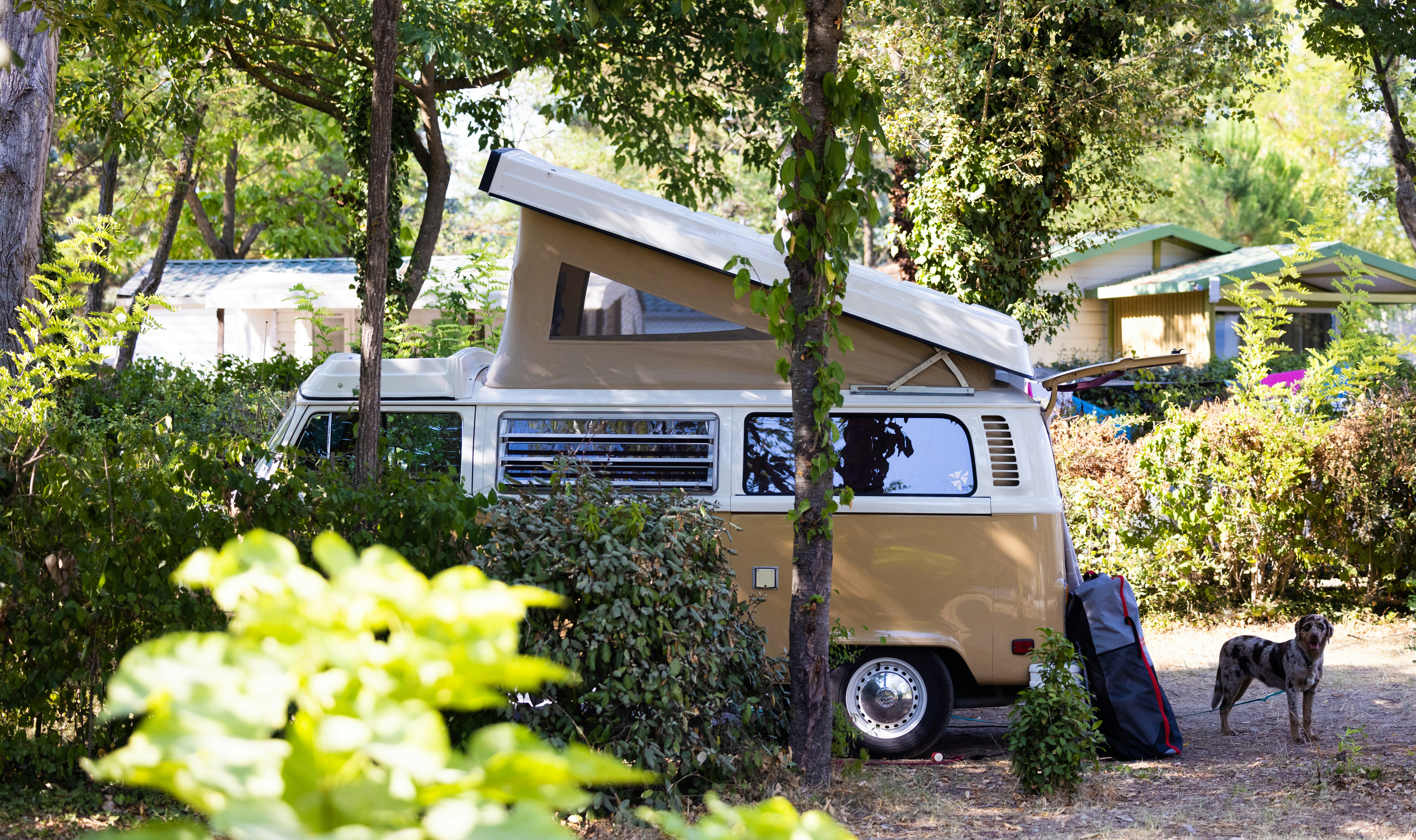 Camping L' Eau Vive  Camping Au Tylo Soleil - Camper auf Standplatz 