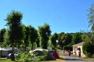 Zelte auf dem Campingplatz zwischen Bäumen, daneben Autos und ein Weg mit Personen.