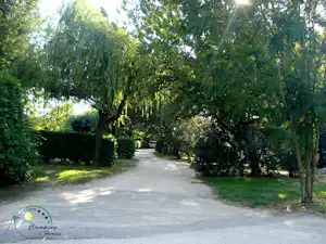 Schotterweg durch einen grünen Campinggarten mit Bäumen und Hecken, entlang der Stellplätze.