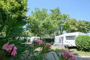 Camping L' Oasis du Verdon - Wohnwagen- und Zeltstellplatz im Grünen auf dem Campingplatz