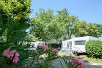 Camping L' Oasis du Verdon  -  Wohnwagen- und Zeltstellplatz im Grünen auf dem Campingplatz