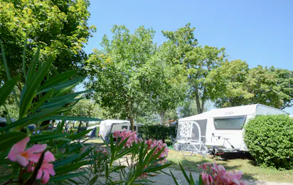Camping L'Oasis du Verdon