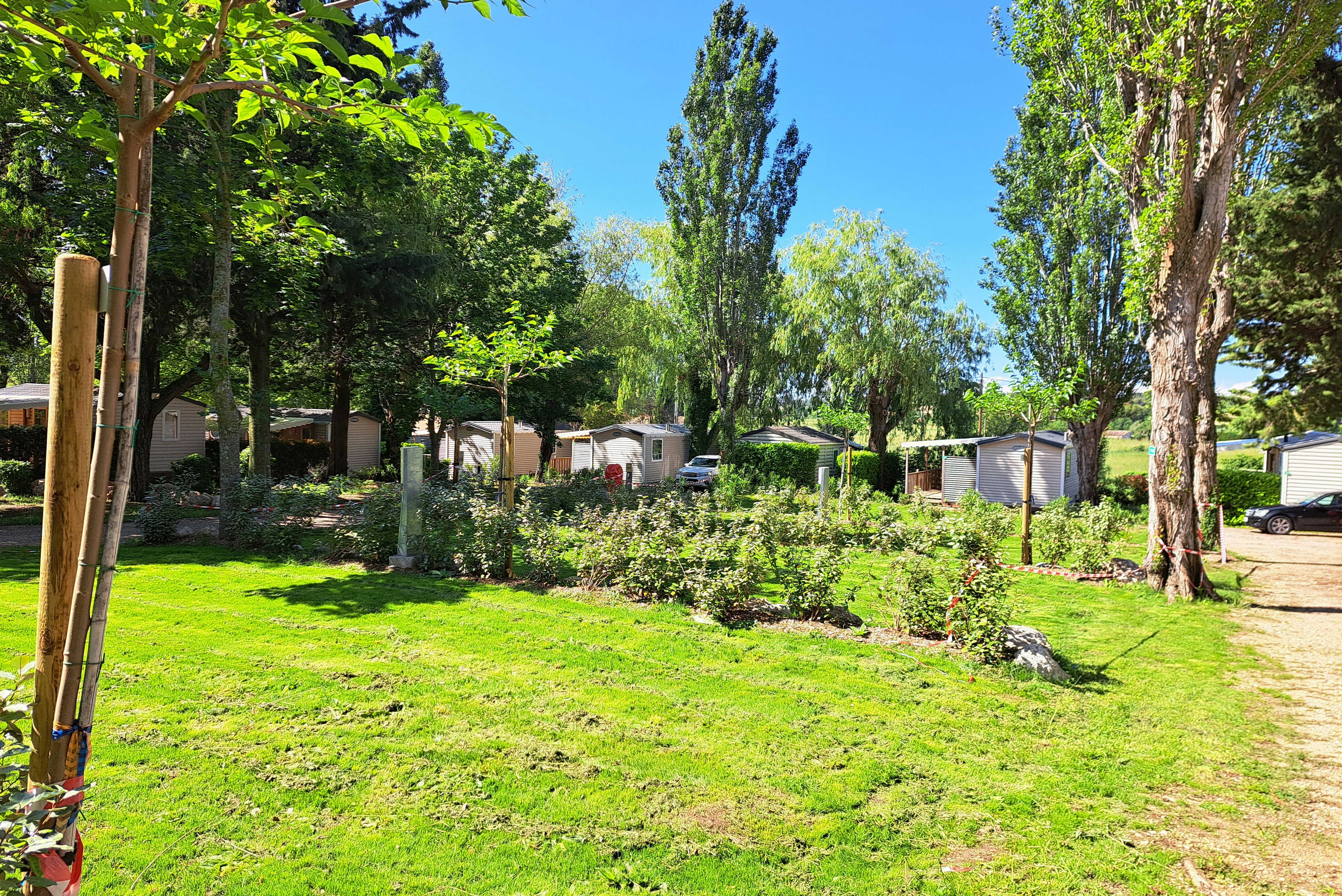 Camping L'Oasis du Verdon - Blick auf den Campingplatz mit Mobilheimen auf der Wiese
