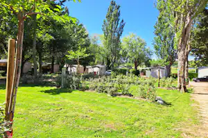 Camping L'Oasis du Verdon - Blick auf den Campingplatz mit Mobilheimen auf der Wiese