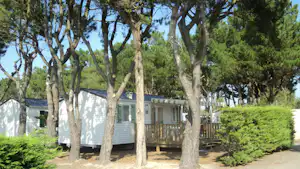 Reihen von Bäumen vor einem Campingbungalow mit Holzveranda und weißen Wänden, im Garten mit Hecken und Wegen.