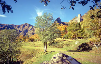 Camping L'Ombrage
