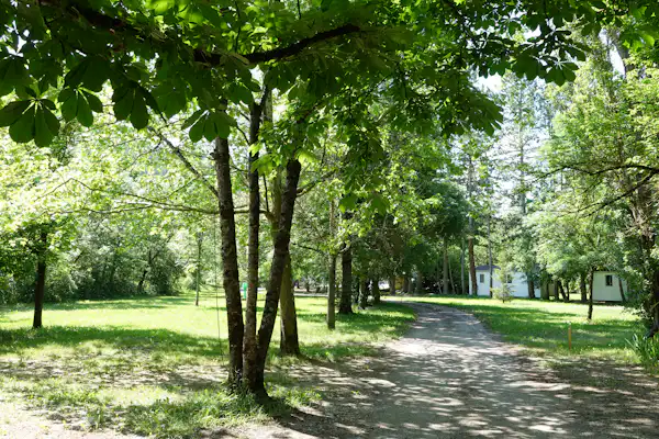 Camping L'Ondine de Provence