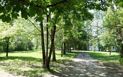 Camping L'Ondine de Provence
