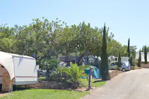 Zelte auf einem Campingplatz zwischen Bäumen, mit Rasenfläche, Kiesweg und geparkten Autos am Rand.