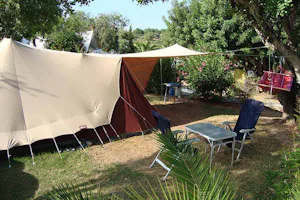 Camping L' Orangeraie - Zeltstellplatz zwischen Bäumen auf dem Campingplatz