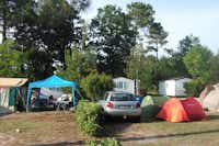 Camping L' Orée du Bois - Stell- und Zeltplätze vom Campingplatz im Grünen