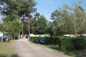 Camping L' Orée du Bois Wohnwagenstellplatz vom Campingplatz zwischen Bäumen
