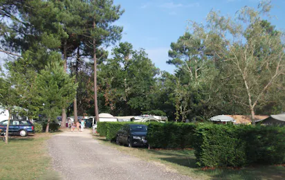 Camping L' Orée du Bois
