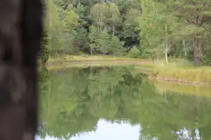 Ruhiger See am Campingplatz im Wald, grünes Ufer mit Gras und Bäumen, Spiegelung im Wasser.