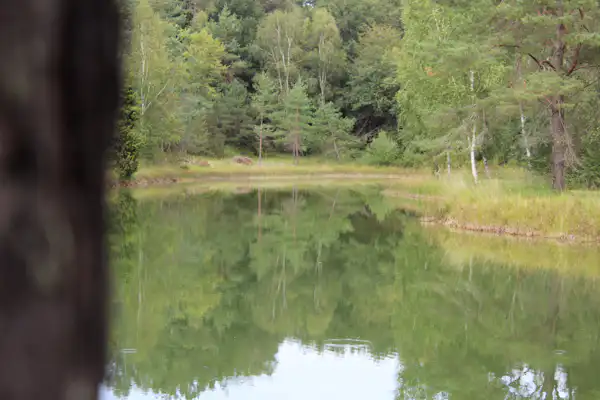 Camping L'Étang Bleu
