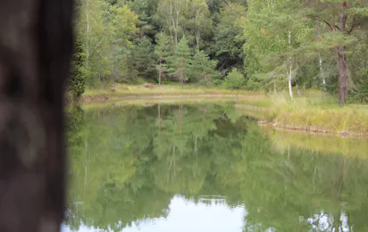Camping L'Étang Bleu