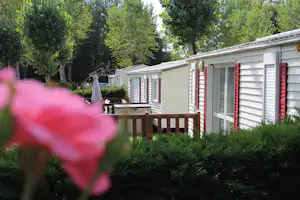 Mobilheim mit Terrasse, roten Fensterläden und Sitzbank, umgeben von Büschen und Bäumen im Campingbereich.
