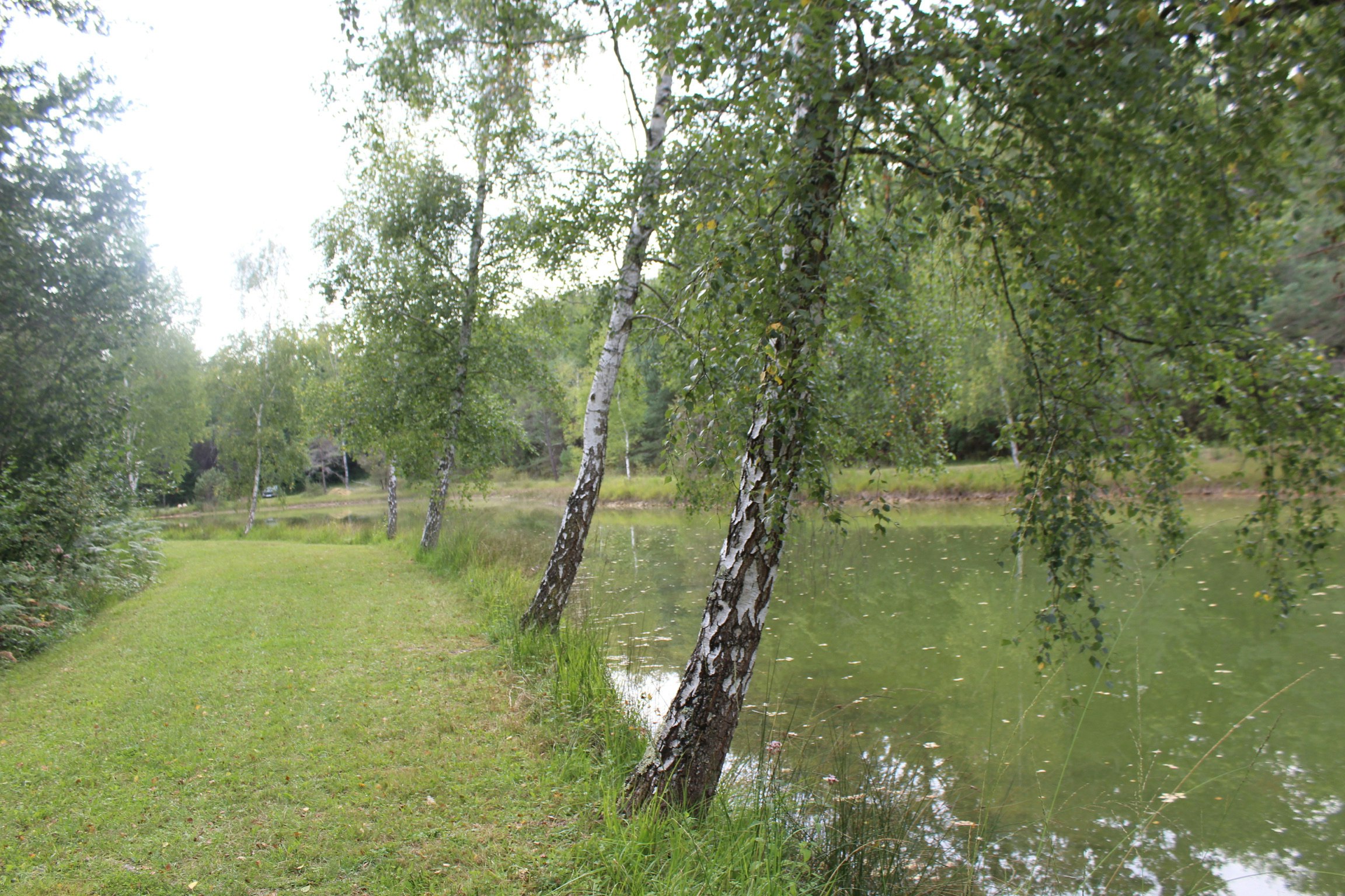 Camping L' Étang Bleu - der Spaziergang am Teich