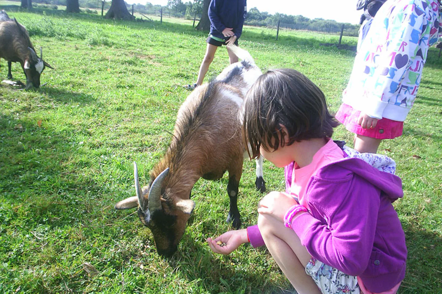Camping L' Étang du Pays Blanc