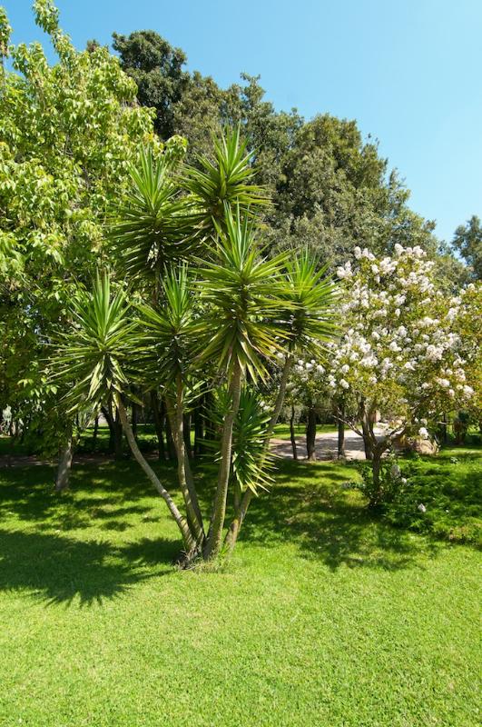 Camping Village Ultima Spiaggia