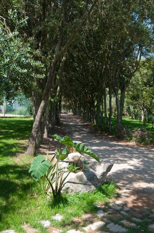 Camping Village Ultima Spiaggia