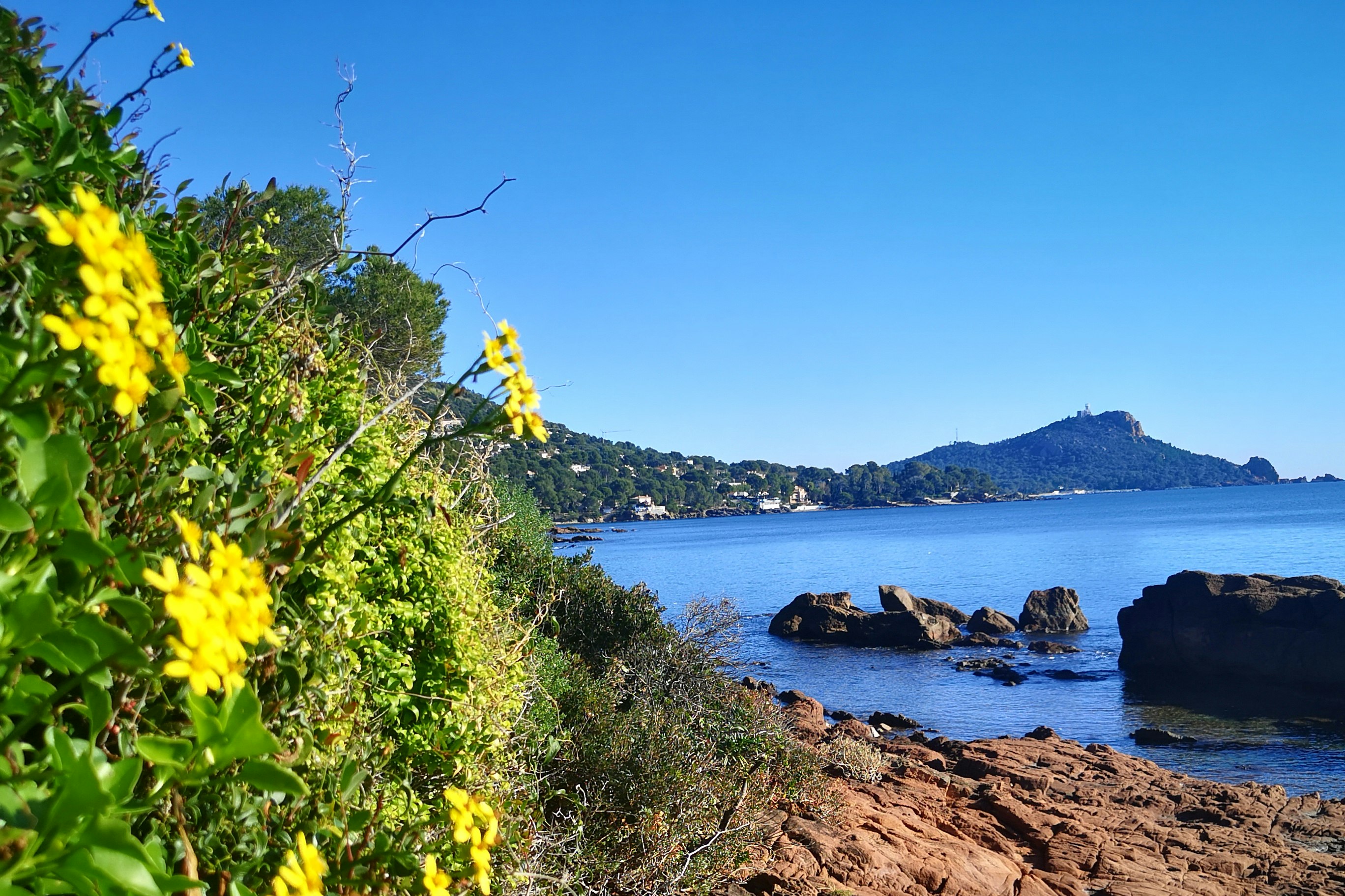 Yelloh! Village La Bastiane - Blick auf das Wasser