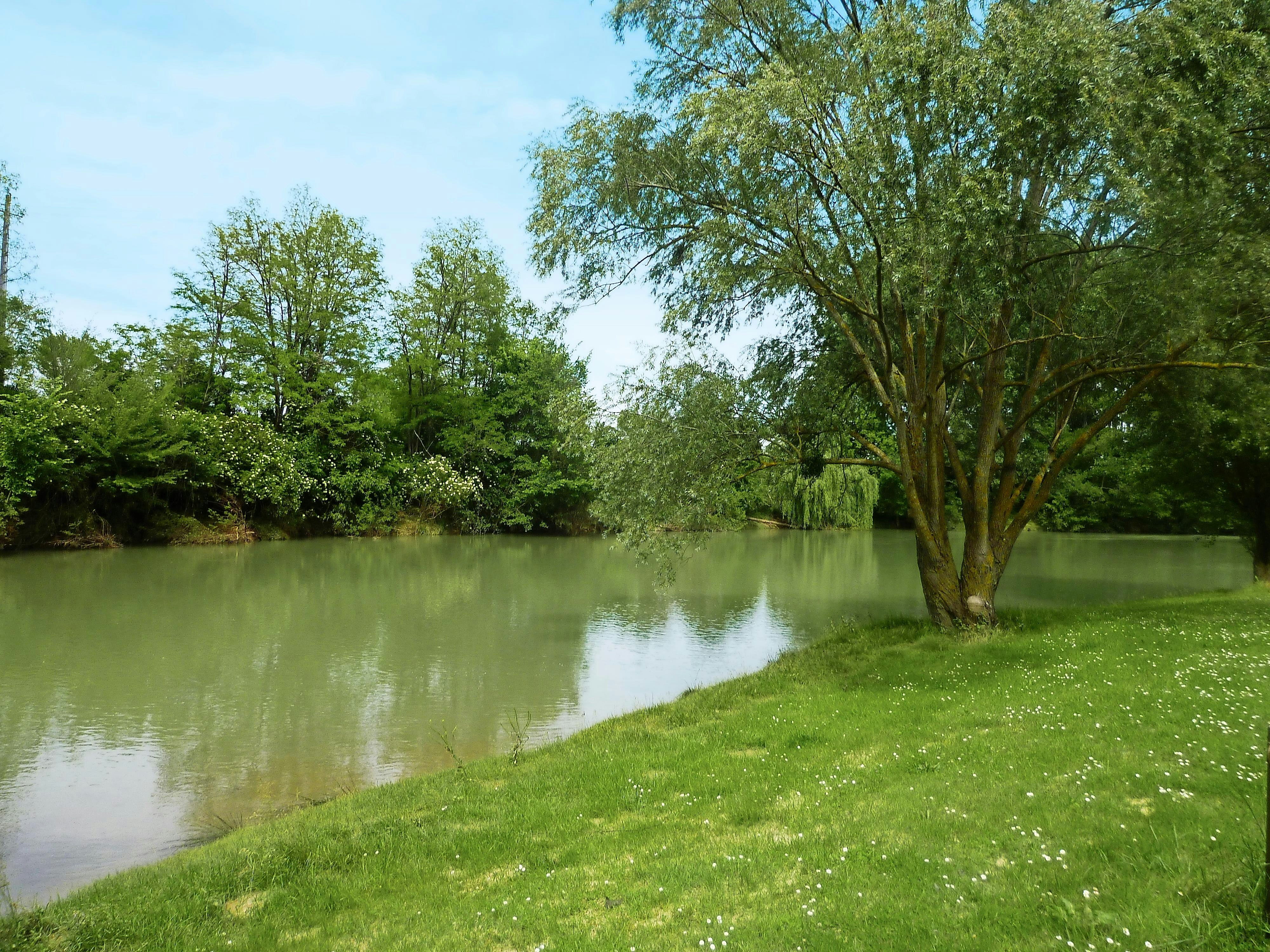 Camping La bastide (Mazères)