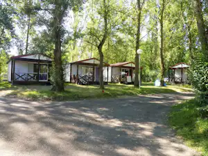 Reihe von Camping-Bungalows mit Veranda und Sitzgelegenheiten im Grünen, umgeben von hohen Bäumen und einem breiten Weg.