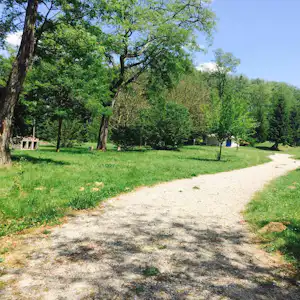 Weg auf einem Campingplatz durch grünen Wald mit Bäumen und Rasenfläche, im Hintergrund weitere Bäume.