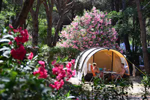 Camping La Baume - La Palmeraie - Zelt