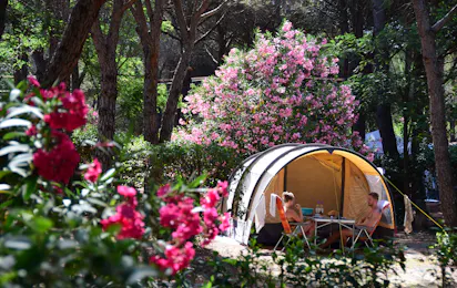 Camping La Baume - La Palmeraie