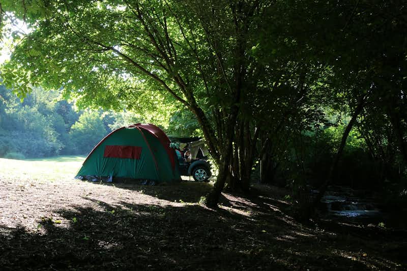 Camping La Beaume  - Zeltwiese im Schatten der Bäume