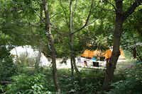 Camping La Beaume - Zeltplätze im Grünen auf dem Campingplatz
