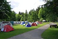 Camping La Belle Verte - Stellplätze  im Schatten der Bäume  auf dem Campingplatz 