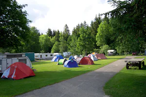 Camping La Belle Verte - Stellplätze im Schatten der Bäume auf dem Campingplatz