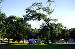 Camping La Bergerie