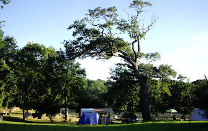 Camping La Bergerie
