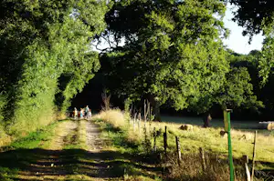 Camping La Bergerie