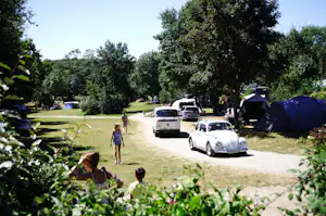 Campingplatz auf Rasen mit mehreren Autos, einem Zelt und Wohnwagen zwischen Bäumen entlang eines Kieswegs.